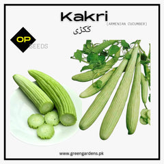 Armenian Cucumber Seeds   کَکڑی (تَر)