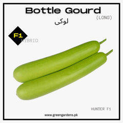 Loki Seeds (Bottle Gourd Long) F1, Hybrid (SUMMER) لوکی