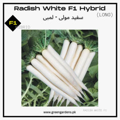 Radish White Seeds, F1 Hybrid (WINTER) سفید مولی