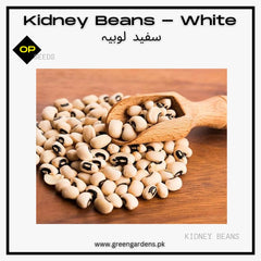 Kidney Beans - White سفید لوبیہ