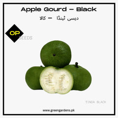 Desi Tinda Dark Green Seeds (Apple Gourd)دیسی ٹینڈا کالا