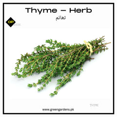 Thyme - Herbتھائم