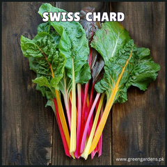 Swiss Chard Seeds (imported) کلرفل پالک