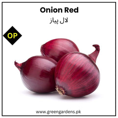 Onion Red Seeds لال پیاز