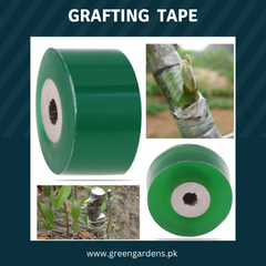 Grafting Tape Green (3cm X 100M)