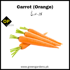Carrot Orange Seeds (WINTER) گاجر اورنج