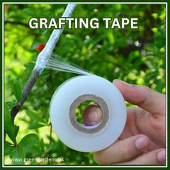 Grafting Tape White, (3cm X 110M)