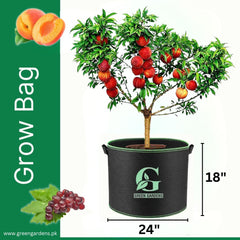 Grow Bag BLACK - 24" x 18"
Six Handles (For Fruit Plants)