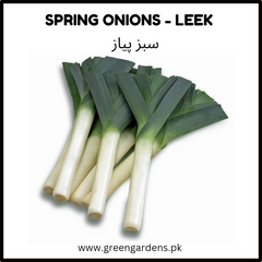 Leek - Green Onion Seeds ( Spring Onion)
ہرا پیاز