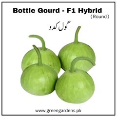 Bottle Gourd Seeds, F1 Hybrid (Round) گھیا کدو گول