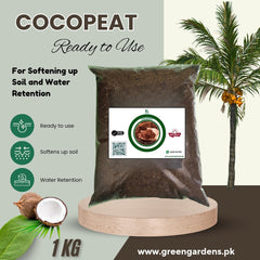 COCOPEAT - 1Kg (Ready to use)