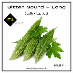 Bitter Gourd Long Seeds, F1 Hybrid (SUMMER) کریلا لمبا