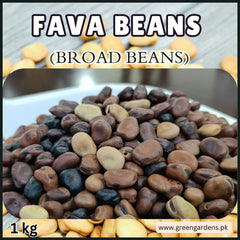 Fava Beans Organic , 1 kg Produced at Khaplu, NA