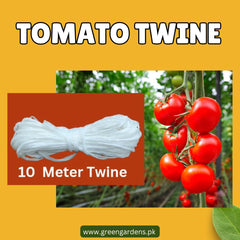 Tomato Twine - 10 Mtr (WINTER)