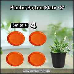 Planter Bottom Plate / Tray - 6 inch (SET OF 4)