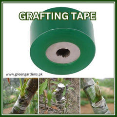 Grafting Tape Green (3.5 cm X 110M)