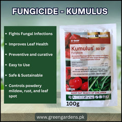 Fungicide Kumulus - 100g