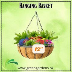 Hanging Basket, 12 inch