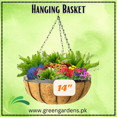 Hanging Basket, 14 inch