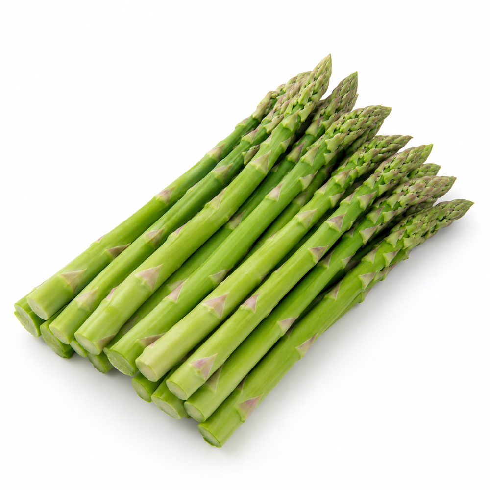 Green asparagus plant with fresh tender edible spears and fern-like foliage – asparagus seeds for home gardening in Pakistan