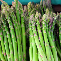 Asparagus Green Seeds (WINTER/ SUMMER) اسپاراگَس سبز