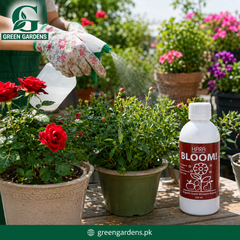 BLOOM by HARA ORGANIC - 200ml (Blossom Booster)