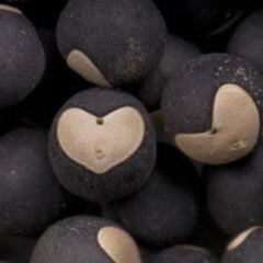 Balloon Vine Seeds (Love in a Puff)
