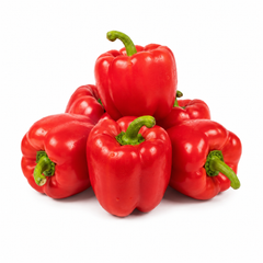 Red California Wonder bell peppers with blocky sweet fruits on green plants – winter capsicum seeds for home gardening in Pakistan