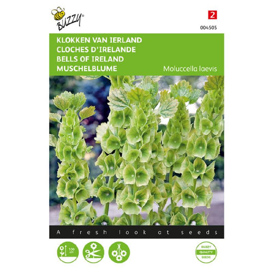 Bells of Ireland Seeds - (Moluccella Laevis) By Buzzy®