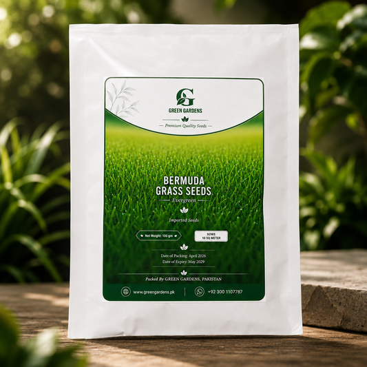 Bermuda Grass Seeds - 100 gm