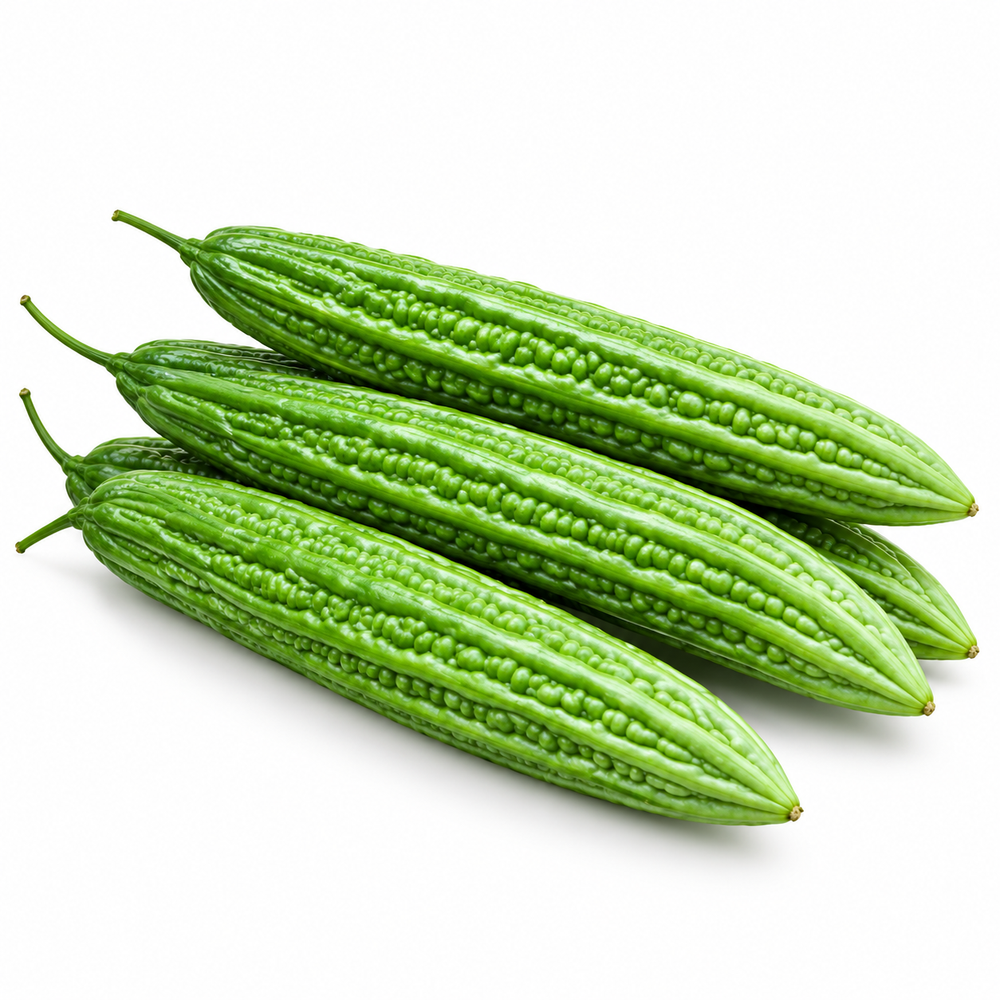Long dark-green Kareli Jhalri bitter gourds growing on a vigorous climbing vine – summer Bitter Gourd Long Seeds for home gardening in Pakistan