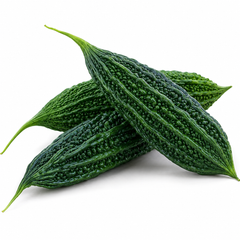 ARASTU F1 Hybrid bitter gourd vine with fresh green karela fruits – summer late vegetable seeds for home gardening in Pakistan