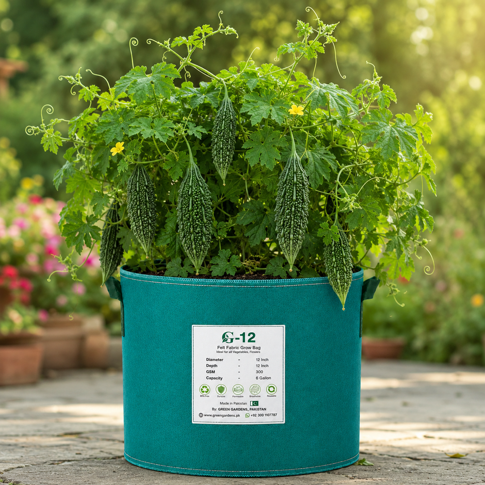 ARASTU F1 Hybrid bitter gourd vine with fresh green karela fruits – summer late vegetable seeds for home gardening in Pakistan
