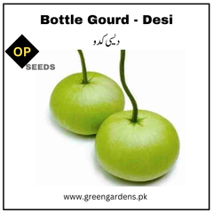 Bottle Gourd Seeds (Desi Kadu) {SUMMER} دیسی کدو گول