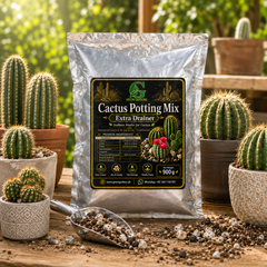 Cactus Potting Mix – Extra Drainer | Soilless Media for Cactus – 900 g