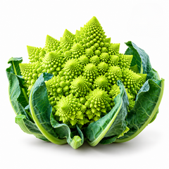 Romanesco Natalino Italian green cauliflower with a compact lime-green head featuring distinctive pointed spiral florets surrounded by healthy green leaves – winter vegetable seeds Pakistan