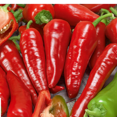 Red Chilli (7-8 inch Long) {WINTER}- لال مرچ