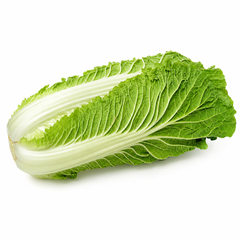 Chinese Cabbage Seeds (Napa Cabbage), F1 Hybrid {WINTER}