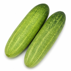 Cucumber Desi Seeds – Traditional Green Cucumber (WINTER/SUMMER)