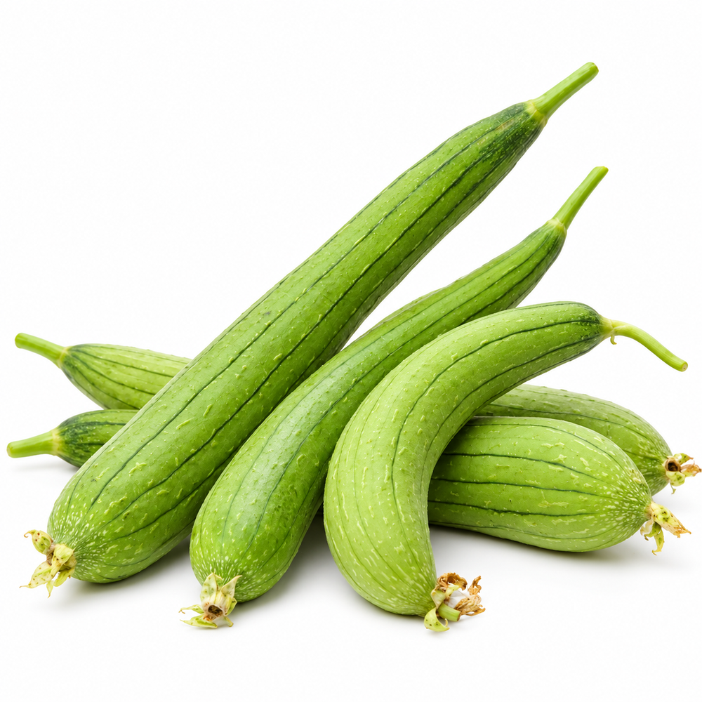Desi Tori Sponge Gourd with elongated smooth light-green tender fruits hanging from healthy climbing vines – summer vegetable seeds for kitchen gardens trellises and grow bags Pakistan