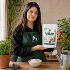 Eggshell Powder – 1 Kg