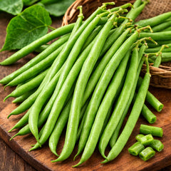 Fresh tender green French Bean pods growing on healthy plants – Green Beans seeds for winter and summer kitchen gardening in Pakistan