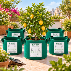GREEN GARDENS G-20 F Green pack of 5 infographic, 20 inch diameter, 16 inch depth, 400 GSM, 22 gallon capacity, 4 handles