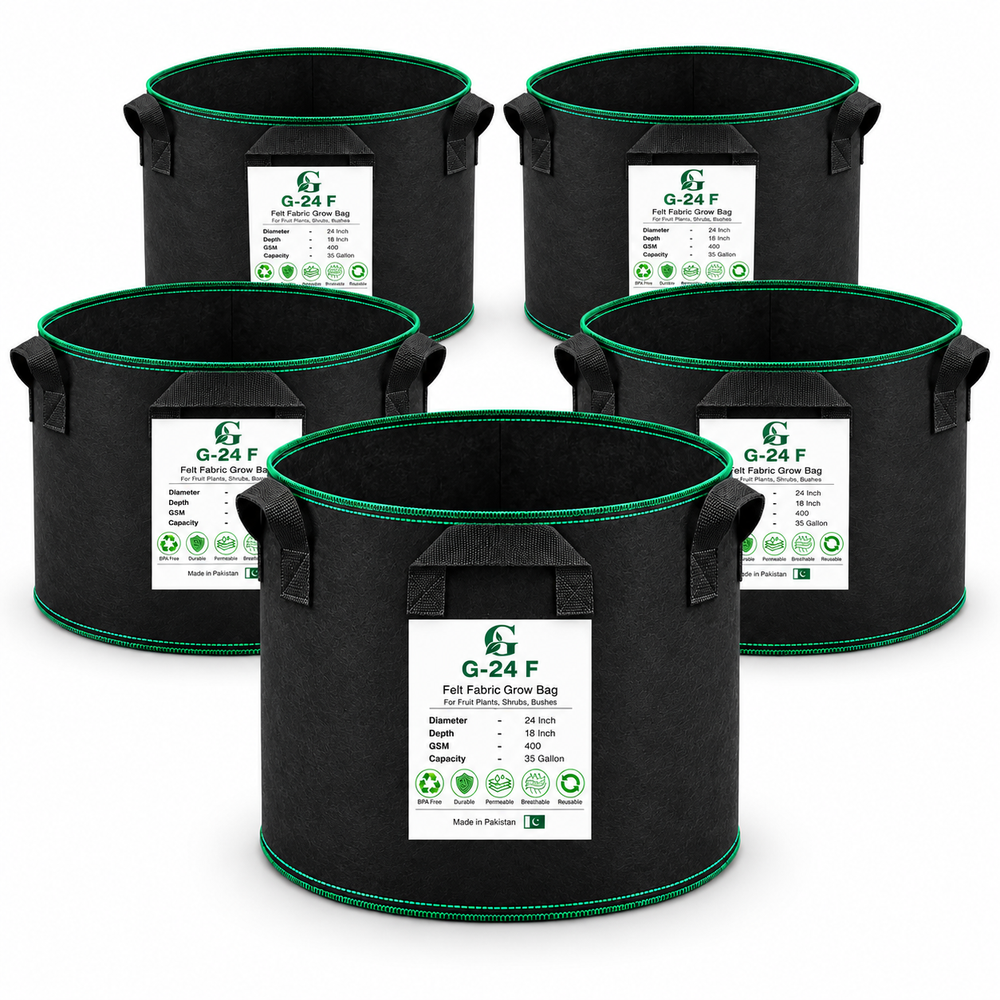 GREEN GARDENS G-24 F Black Pack of 5 grow bags on pure white background