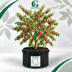 GREEN GARDENS G-28 F Black 28×18 inch round 400 GSM felt fabric grow bag with 6 handles for fruit plants