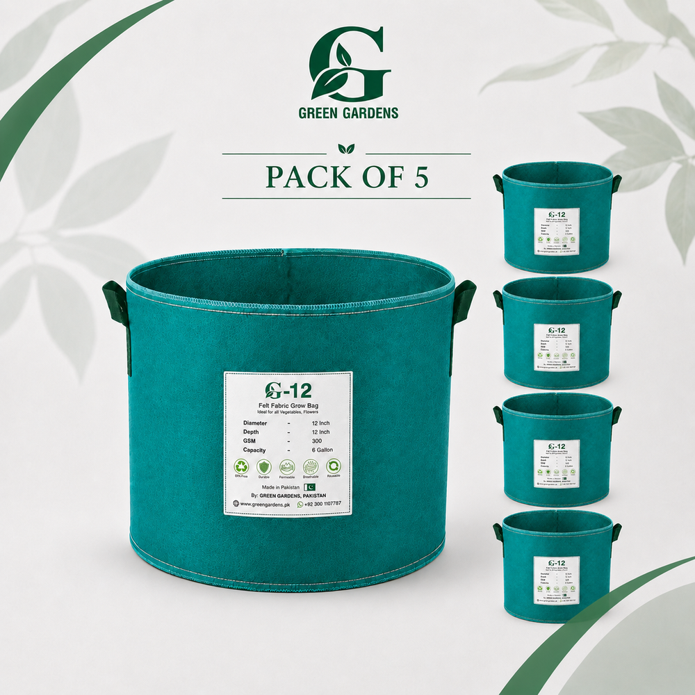 Pack of 5 green G-12 round felt fabric grow bags, 12-inch diameter and 12-inch depth, with 2 handles each