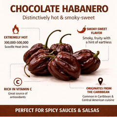 HABANERO PEPPER Seeds - Chocolate (WINTER/SUMMER)
