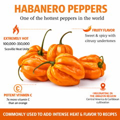 HABANERO PEPPER Seeds - Orange (WINTER/SUMMER)