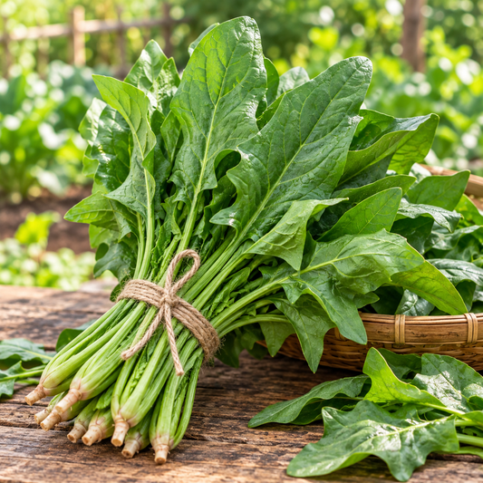Healthy Lahori Palak plants with tender deeply cut green leaves – winter leafy vegetable seeds for home gardening in Pakistan