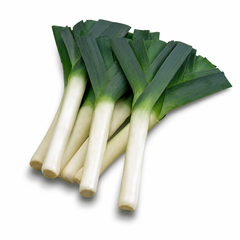 Leek Seeds for Home Gardening in Pakistan | سبز پیاز (WINTER)